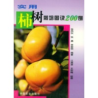 实用柿树栽培图诀200例