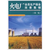 火电厂全面生产保全改善集锦（第一集）
