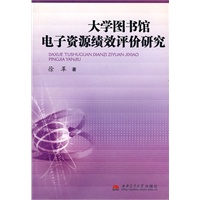 大学图书馆电子资源绩效评价研究