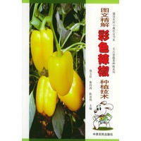 图文精解彩色辣椒种植技术——建设农村小康社会书系·无公害蔬菜种植系列