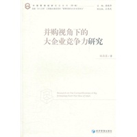 并购视角下的大企业竞争力研究