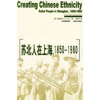 苏北人在上海1850-1980/上海史研究译丛