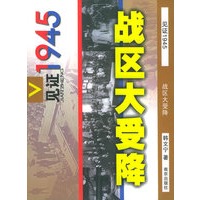 战区大受降——见证1945丛书