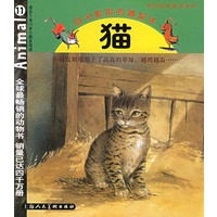 猫·目光敏锐的捕捉手[适合5至10岁小朋友阅读]——我的动物朋友系列（注音版）