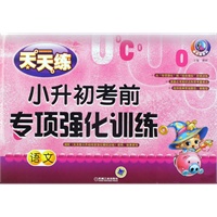 小升初考前专项强化训练 语文