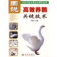 图说高效养鹅关键技术