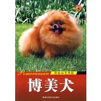 博美犬 灵动的艺术品