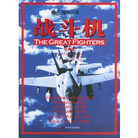 战斗机：经典版