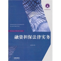 融资担保法律实务