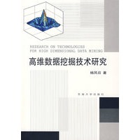高维数据挖掘技术研究