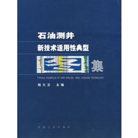 石油测井新技术适用性典型图集