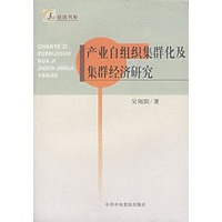 产业自组织集群化及集群经济研究