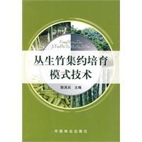 丛生竹集约培育技术模式