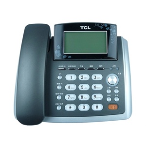 王牌（TCL）HCD868（127）TSDL来电显示电话机（闪银铁灰）