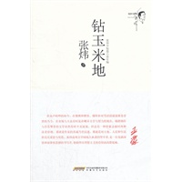 钻玉米地