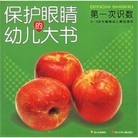 保护眼睛的幼儿大书——第一次识数