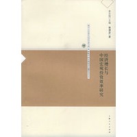 经济增长与中国宏观投资效率研究——复旦大学青年经济学者文库·转轨中的中国经济问题研究论丛