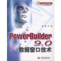 Power Builder 9.0数据窗口技术