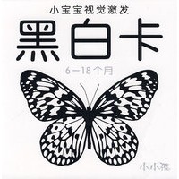 小宝宝视觉激发：黑白卡（6-18个月）