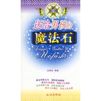 送给男孩的魔法石