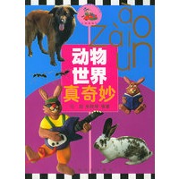 动物世界真奇妙——头脑碰碰车