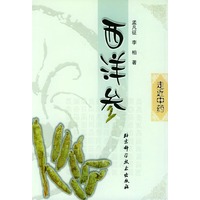 西洋参——走近中药丛书