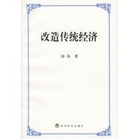 改造传统经济