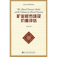 矿业权市场及价值评估