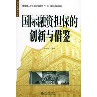 国际融资担保的创新与借鉴——国际金融法论丛
