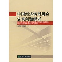中国经济转型期的宏观问题解析