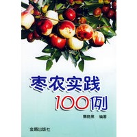 枣农实践100例
