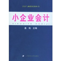 小企业会计——会计与财务实用丛书