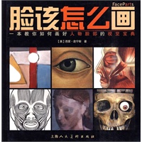 脸该怎么画
