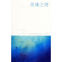灵魂之湾——21世纪年度最佳外国小说