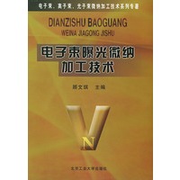 电子束曝光微纳加工技术——电子束离子束光子束微纳加工技术系列专著