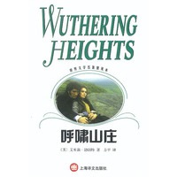呼啸的山庄 世界文学名著普及本