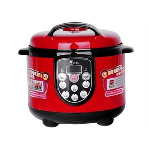 利仁（LIVEN）DNG-50A电压力锅