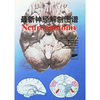 最新神经解剖图谱