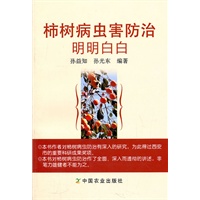 柿树病虫防治明明白白