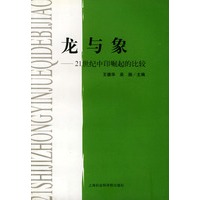 龙与象:21世纪中印崛起的比较
