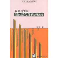 民族与发展：新的现代化追赶战略（国情专题研究系列）