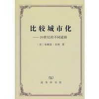 比较城市化——20世纪的不同道路
