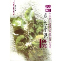 美国成长小说研究
