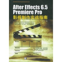 After Effects 6.5Premiere Pro影视制作实战指南（附CD-ROM光盘一张）