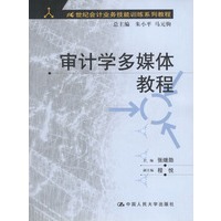 审计学多媒体教程(附光盘)/21世纪会计业务技能训练系列教程