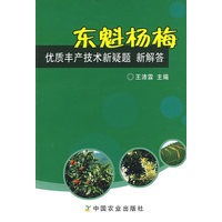 东魁杨梅优质丰产新疑题 新解答