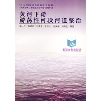 黄河下游游荡性河段河道整治