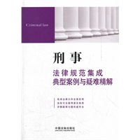 刑事法律规范集成、典型案例与疑难精解10