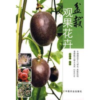 盆栽观果花卉