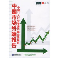 中国市场终端报告